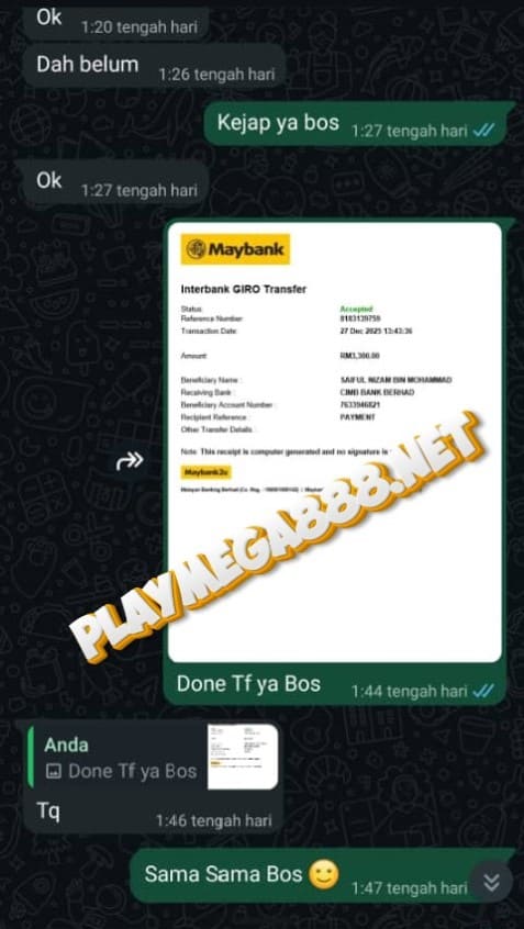 PlayMega888 玩家见证
